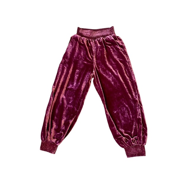 Anthropology Velvet Velour Smocked Gloria Wine Harem Jogger Pocket Pants Smalll - Picture 4 of 10
